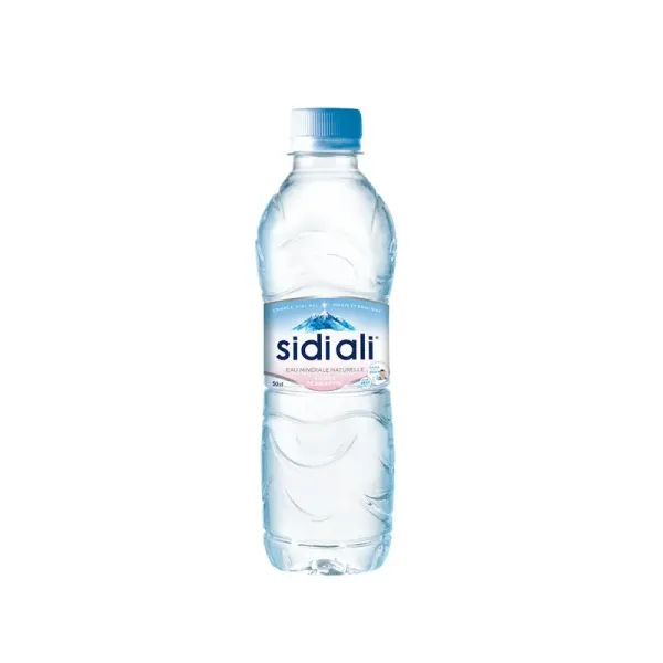Sidi Ali